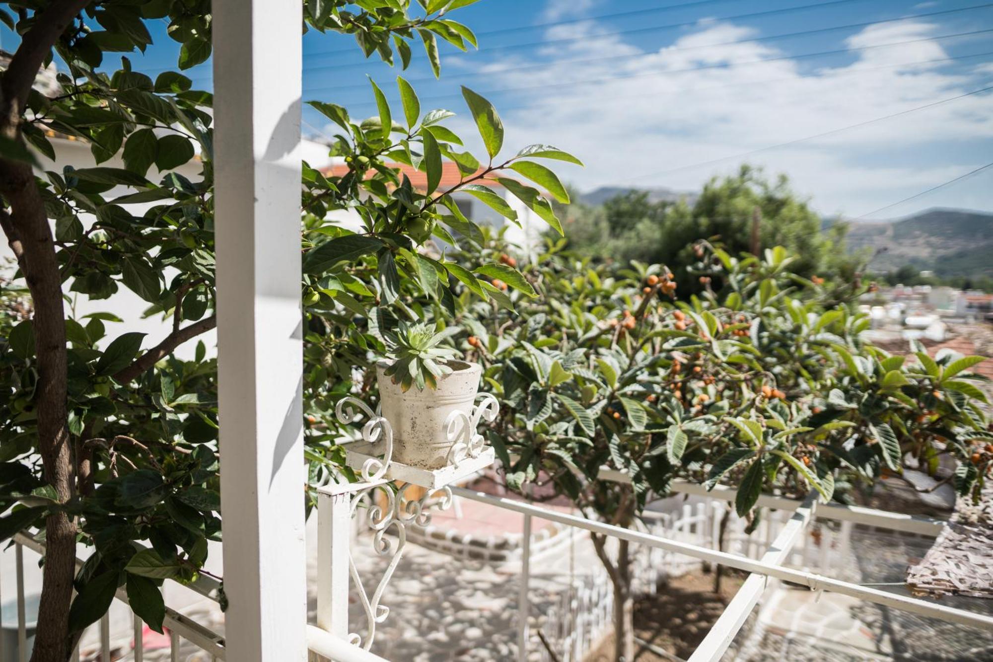 شقة The Garden House كافالا المظهر الخارجي الصورة
